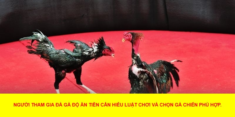 Không nên chạy theo kèo  
