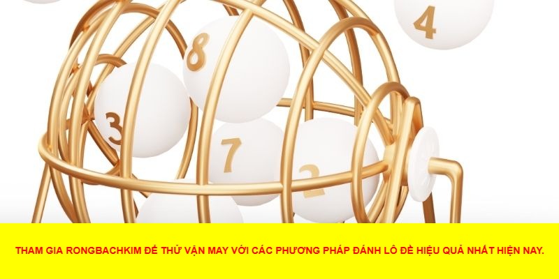 Rongbachkim Có Phải Lựa Chọn Tốt?