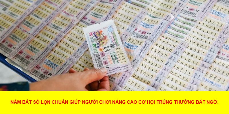 số lộn