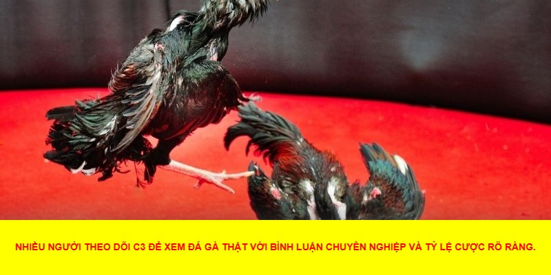 Kèo cược thắng/thua