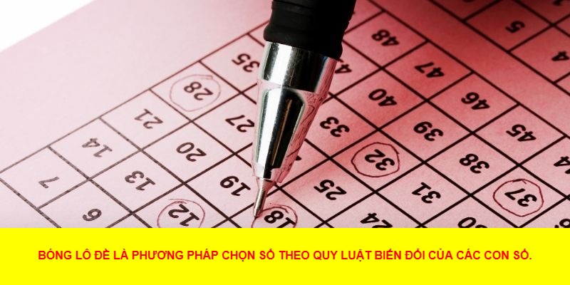Bóng Lô Đề Là Gì?