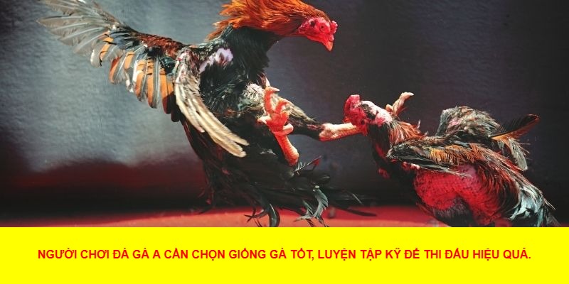 Môi Trường Chơi An Toàn và Công Bằng